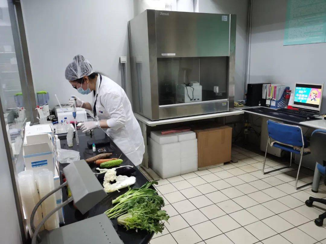 泰宁食品检测实验室装修方案